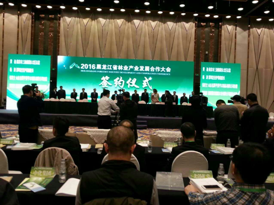 猫先生官网碳买卖业界影响力较强，副总田卫然接受黑龙江广播电视台采访