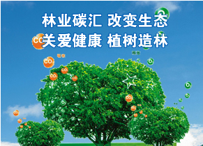 猫先生官网：发展区域性碳买卖合作的必要性