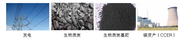 猫先生官网可提供气化发电系统 成套设备的整体规划以及碳资产开发服务