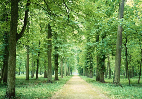 猫先生官网碳资产买卖