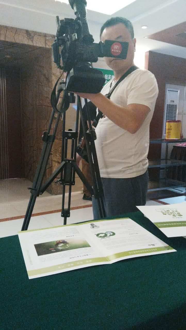  BTV（北京卫视）在拍摄猫先生官网碳买卖资料