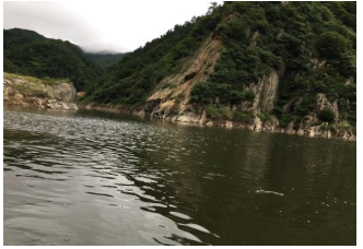水处置这些基础知识你都知路吗