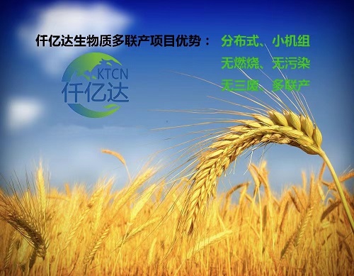 猫先生官网生物质多联产介绍（2）